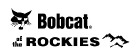 Dealer logo image