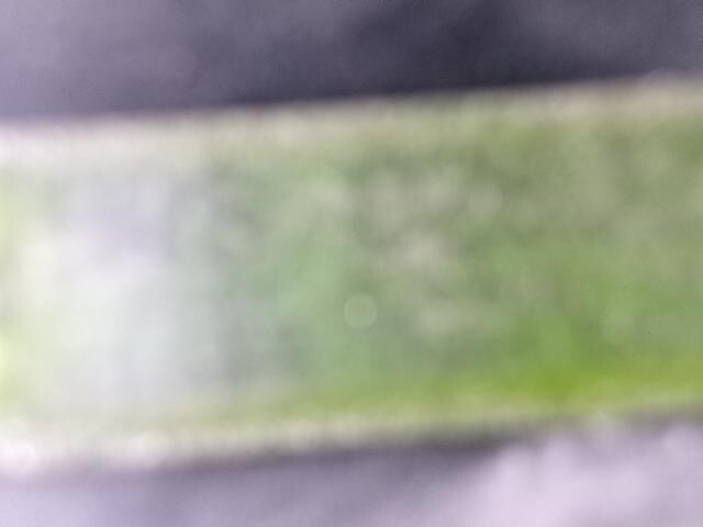 2014 Gehl RS10-55-27